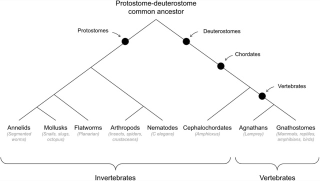 Figure 3 from the paper