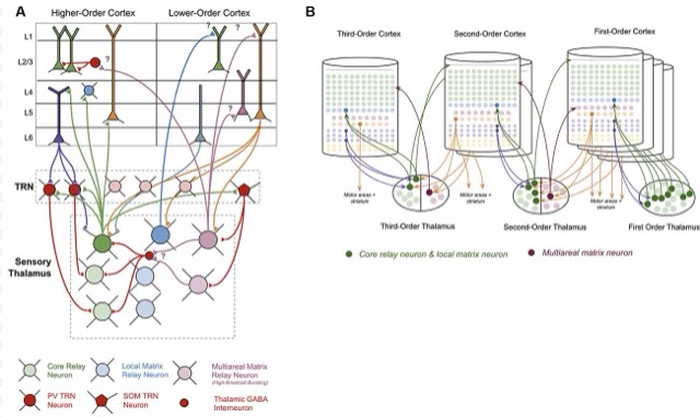 Figure 3 from the paper